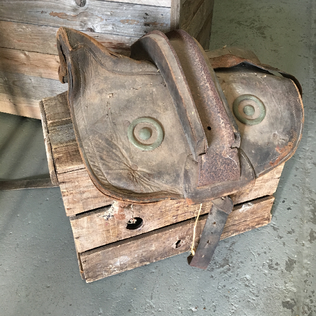 SADDLE, Cart